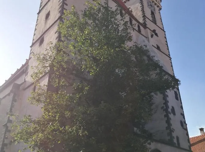 게스트하우스 Pivovar